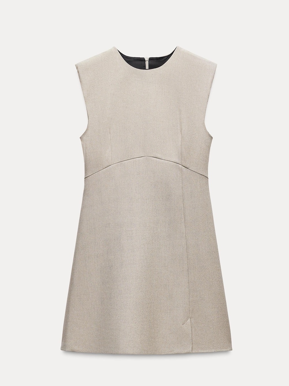 NWOT Zara shimmer mini dress